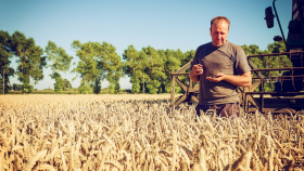 В Ростовской области завершают уборку ранних зерновых